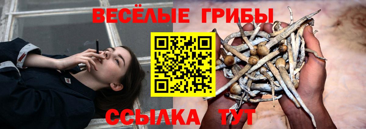 Псилоцибиновые грибы GOLDEN TEACHER Тюмень